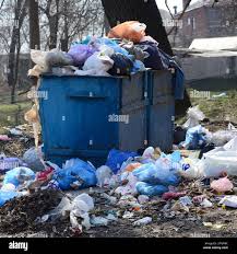 Best Recycling Services for Junk  in Denison, IA