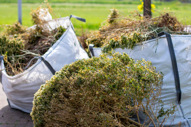 Best Retail Junk Removal  in Denison, IA