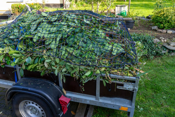 Best Furniture Removal  in Denison, IA